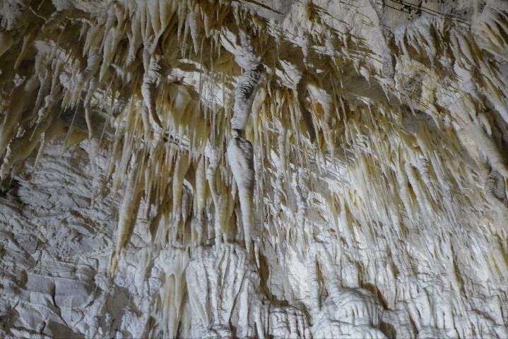 Ruakuri Cave