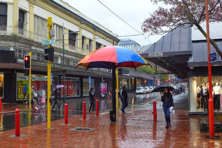 Wellington im Regen
