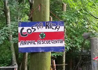 Reise deinen Traum - Zurück nach Costa Rica